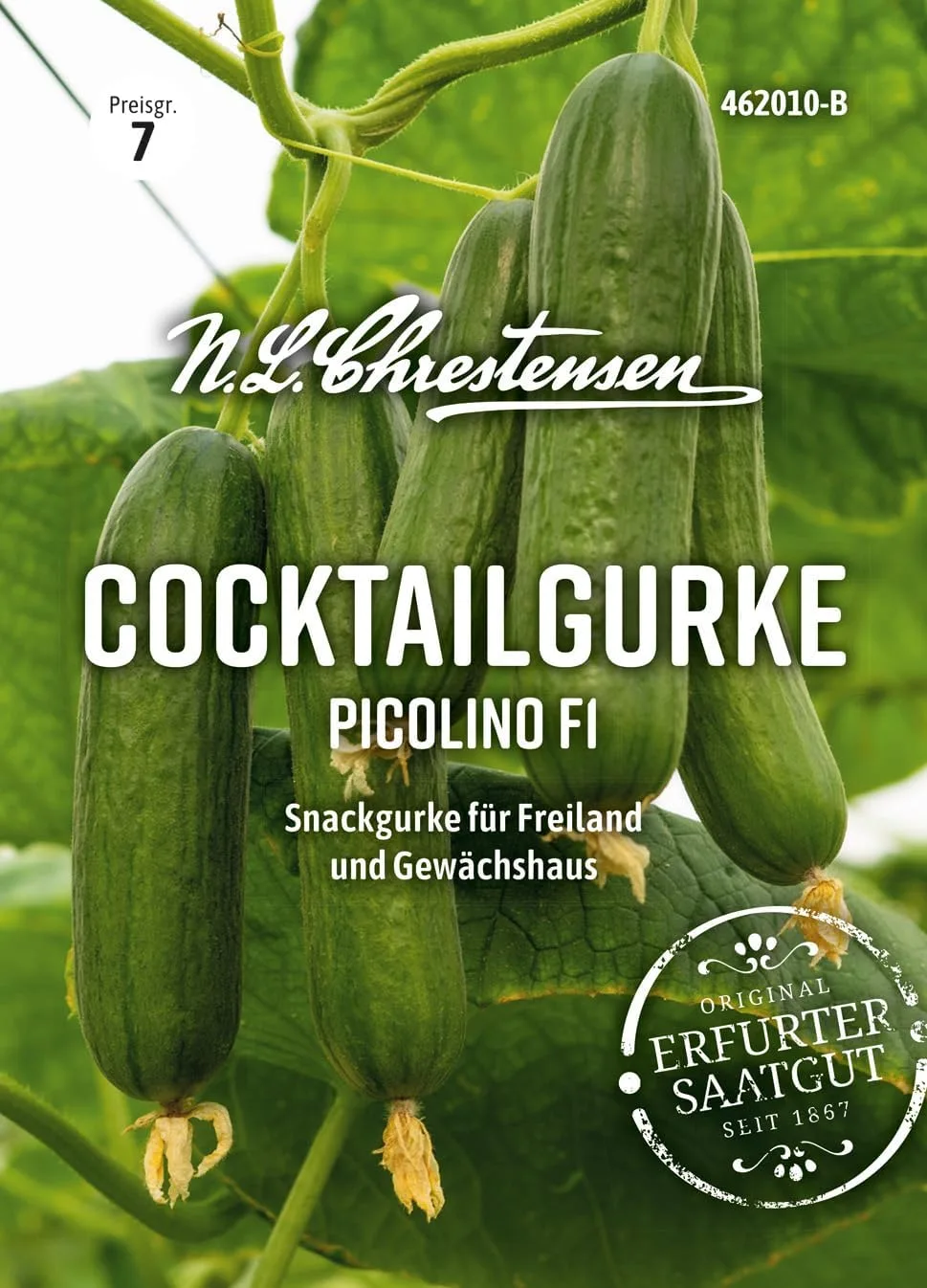 Chrestensen Hausgurke Picolino F1 veredelt - Mini Snackgurke Gemüsepflanze im Topf - Für Garten Gewächshaus Balkon - Hoher Ertrag - Bild 1