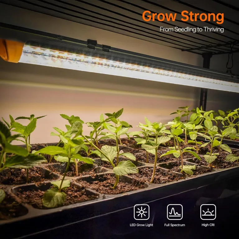 Bstrip Indoor-Gewächshaus, 4-stöckiges Foliengewächshaus mit Pflanzenlampe LED Vollspektrum, 159 cm Gewächshaus Klein zur Überwinterung von Pflanzen, ideal für Anbau, Keimlinge und Microgreens – Bild 6