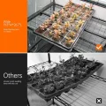 Bstrip Indoor-Gewächshaus, 4-stöckiges Foliengewächshaus mit Pflanzenlampe LED Vollspektrum, 159 cm Gewächshaus Klein zur Überwinterung von Pflanzen, ideal für Anbau, Keimlinge und Microgreens - Thumbnail 7