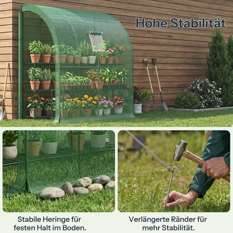 LARMNEE Wandseitiges Gewächshaus, Tomatengewächshaus mit 2 Rolltüren, 200 x 100 x 210 cm, PE Foliengewächshaus, Tomatenhaus für Blumen, Gemüse und Pflanzen, Balkon, Garten und Terrasse, Grün EGN72GH02 – Bild 4