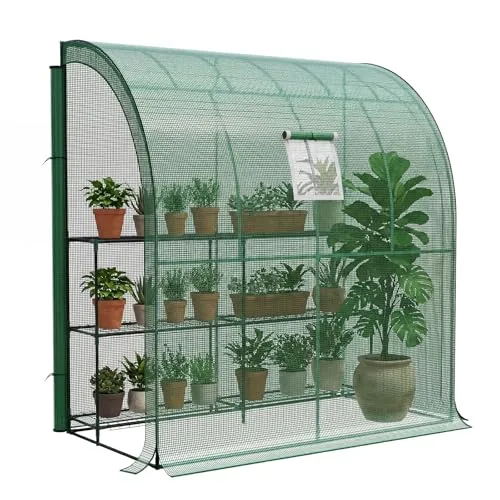 LARMNEE Wandseitiges Gewächshaus, Tomatengewächshaus mit 2 Rolltüren, 200 x 100 x 210 cm, PE Foliengewächshaus, Tomatenhaus für Blumen, Gemüse und Pflanzen, Balkon, Garten und Terrasse, Grün EGN72GH02 – Bild 9