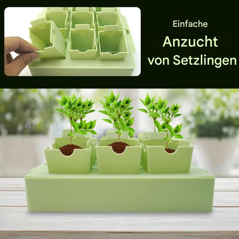 Anzuchtschalen - Pflanz Anzuchtschalen Zum Umpflanzen | Gartenbau Gewächshaus Anzucht Zubehör Für Vermehrung | Innenbereich Außenbereich Blumenbeet Kultivierung – Bild 2