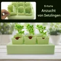 Anzuchtschalen - Pflanz Anzuchtschalen Zum Umpflanzen | Gartenbau Gewächshaus Anzucht Zubehör Für Vermehrung | Innenbereich Außenbereich Blumenbeet Kultivierung - Thumbnail 2