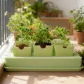 Anzuchtschalen - Pflanz Anzuchtschalen Zum Umpflanzen | Gartenbau Gewächshaus Anzucht Zubehör Für Vermehrung | Innenbereich Außenbereich Blumenbeet Kultivierung - Thumbnail 3