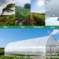 Transparent Gewächshausfolie, Extra Dick Polyethylenfolie, Reißfest Gartenfolie, Gewächshaus Folie für Treibhaus Tomatenhaus Gartenarbeit(Size:4x15m) - Thumbnail 5
