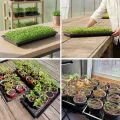 50.8x25.4x4 cm 8 Stücke Pflanzwanne Kunststoff Anzuchtplatte Seed Tray Kein Ablaufloch für Garten Terrassen Gewächshäuser Pflanzen - Thumbnail 9