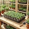 50.8x25.4x4 cm 8 Stücke Pflanzwanne Kunststoff Anzuchtplatte Seed Tray Kein Ablaufloch für Garten Terrassen Gewächshäuser Pflanzen - Thumbnail 3