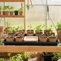 50.8x25.4x4 cm 8 Stücke Pflanzwanne Kunststoff Anzuchtplatte Seed Tray Kein Ablaufloch für Garten Terrassen Gewächshäuser Pflanzen - Thumbnail 4