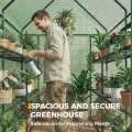 Bamworld Gewächshaus begehbar Garten Außen 145x145x195cm - Bamworld Foliengewächshaus mit Regalen und Fliegengitter-Fenster, Großes Tomatengewächshaus, Grün - Thumbnail 3