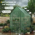 Bamworld Gewächshaus begehbar Garten Außen 145x145x195cm - Bamworld Foliengewächshaus mit Regalen und Fliegengitter-Fenster, Großes Tomatengewächshaus, Grün - Thumbnail 4