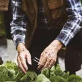 HEMOTON Transparentes Kunststoff-gartenpflanzen-befestigungsgabel- Wiederverwendbare Reben-Clips Erdbeer-stem-fixierung für Garten Gewächshaus Stabiler Pflanzenhalter - Thumbnail 10