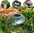 Wiederverwendbare Kunststoff Wachstumsabdeckung Fördert Eine Stabile Feuchtigkeitskontrolle Garten Und Gewächshaus Pflanzenschutz Unterschlupf Leichte Transparente Pflanzenabdeckung - Thumbnail 4
