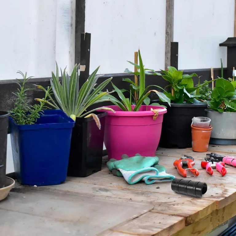SEWACC Gewächshausfolienklemmen Kunststoff 30 Stück Wetterfeste Pflanzenclips für Gewächshaus und Sonnenschutzabdeckungen Vielseitig Kompatibel für Gartenbauten – Bild 7