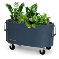 Permasteel selbstbewässerndes Gartenbeet, rollender Pflanztopf für Gemüse, Blumen, Kräuter und Obst, drinnen draußen, Laufräder, Blau - Thumbnail 1