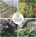 Rankhilfe für Pflanzen – Set 30 Stück erweiterbare Kletterhilfe Tomaten Gewächshaus Struktur Garten Zubehör robust und einfach zu montieren | für nachhaltigen Anbau - Thumbnail 6