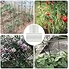 Rankhilfe für Pflanzen – Set 30 Stück erweiterbare Kletterhilfe Tomaten Gewächshaus Struktur Garten Zubehör robust und einfach zu montieren | für nachhaltigen Anbau - Thumbnail 3