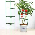 Rankhilfe für Pflanzen – Set 30 Stück erweiterbare Kletterhilfe Tomaten Gewächshaus Struktur Garten Zubehör robust und einfach zu montieren | für nachhaltigen Anbau - Thumbnail 4