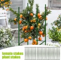 Rankhilfe für Pflanzen – Set 30 Stück erweiterbare Kletterhilfe Tomaten Gewächshaus Struktur Garten Zubehör robust und einfach zu montieren | für nachhaltigen Anbau - Thumbnail 5