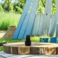 100 Stück Hydroponische Pflanzkörbe Schwarze Kunststoff Netztöpfe mit Wurzelschnitt 70mm Hoch für Balkon Gewächshaus und Hydroponik Anzucht - Thumbnail 5