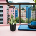 ifundom 50 Stück Kunststoff Pflanztöpfe mit Abflussloch 165cm Rund Langlebige Anzuchttöpfe für Garten und Gewächshaus - Thumbnail 7