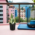 NUOBESTY 50 Stück Anzuchttöpfe Kunststoff mit Abflusslöchern 165cm Rund Pflanztöpfe für Garten und Gewächshaus Pflanzgefäße für Gesunde Wurzelentwicklung - Thumbnail 6