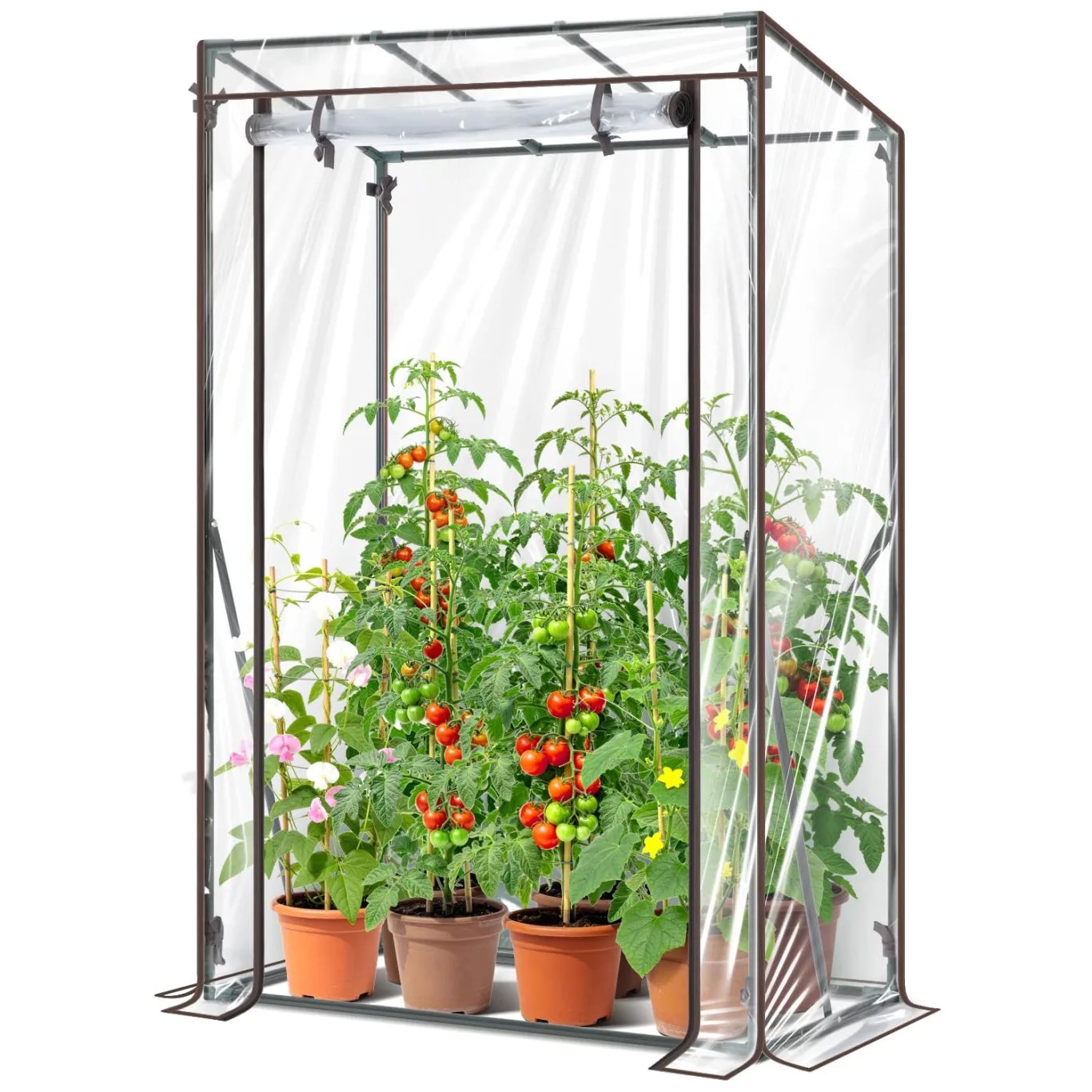 Ohuhu Gewächshaus klein Premium Foliengewächshaus Tomatengewächshaus für Balkon, Tomatenhaus Treibhaus Gewächshaus Balkon überwinterungszelt für Pflanzen, Stabil Winterfest PVC 100x50x152 cm - Bild 1