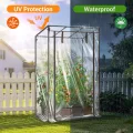 Ohuhu Gewächshaus klein Premium Foliengewächshaus Tomatengewächshaus für Balkon, Tomatenhaus Treibhaus Gewächshaus Balkon überwinterungszelt für Pflanzen, Stabil Winterfest PVC 100x50x152 cm - Thumbnail 3