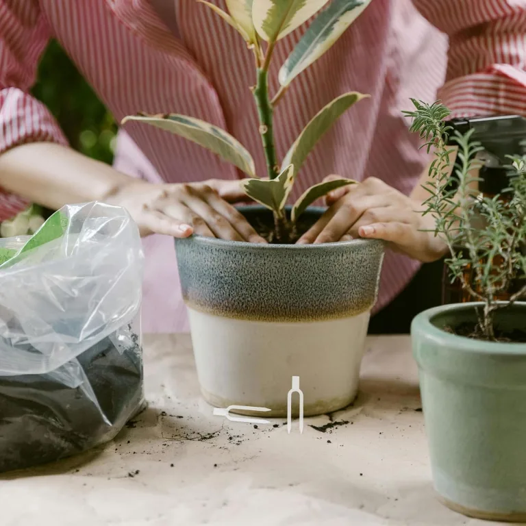 Transparente Wiederverwendbare Gartenpflanzen-befestigungsclips Langlebige Kunststoff-pflanzenpins für Erdbeer Rebenstütze im Outdoor-Garten und Gewächshaus – Bild 6