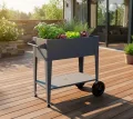 WESTMANN Mobila Hochbeet Metall auf Rollen | 93x50x80 cm | mobil & höhenverstellbar | pulverbeschichteter Stahl | Anthrazit | für Balkon & Terrasse - Thumbnail 10