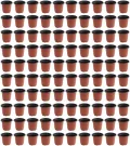 100 Stück zweifarbige Kunststoff-Pflanztöpfe mit Drainagelöchern, flexibel und Stecklinge, Kräuter, Sukkulenten, Garten, Gewächshaus - Thumbnail 9
