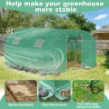 12㎡ Frostschutz Gartengewächshäuser aus Stahl Rahmen 3x4x2m HDPE Foliengewächshaus mit 4 Insektenschutzgitter Fenster & Tür Begehbares Gewächshaus Garten Überwinterungszelt für Pflanzen - Thumbnail 7