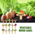 Gartenpflanzenetiketten – marker aus Holz, 15er-Set für den Innen- und Außenbereich, Markierungspfähle für Pflanzen | Praktisches Werkzeug zur Gartenorganisation für Töpfe, Beete, Gewächshäuser - Thumbnail 5