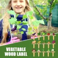Gartenpflanzenetiketten – marker aus Holz, 15er-Set für den Innen- und Außenbereich, Markierungspfähle für Pflanzen | Praktisches Werkzeug zur Gartenorganisation für Töpfe, Beete, Gewächshäuser - Thumbnail 2