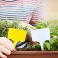 60 Stk Pflanzenschilder Wetterfest,15x5.5CM Umweltfreundliche PP Garten Pflanzenstecker zum Beschriften,T-type Wiederverwendbar Schilder für Gemüse,Kräuter,Blumen,Obstgarten,Gewächshaus Zubehör - Thumbnail 7