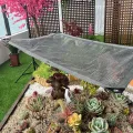 Aluminium-Schattentuch, UV-beständiges, reflektierendes Gewebe, 55 % Wärmedämmung, perfekt für Fenster, Balkone, Gewächshäuser, Sukkulenten (4,0 x 11,0 m) - Thumbnail 8