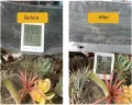 Aluminium-Schattenstoff, 55 % UV-Schutz, reflektierendes Schattennetz, atmungsaktiver Sonnenschutz für Garten, Gewächshaus, Terrasse, Balkon, Hundehaus, Innenhof - Thumbnail 3