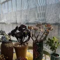 Aluminium-Schattenstoff, 55 % UV-Schutz, reflektierendes Schattennetz, atmungsaktiver Sonnenschutz für Garten, Gewächshaus, Terrasse, Balkon, Hundehaus, Innenhof - Thumbnail 5