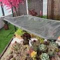 Aluminium-Schattenstoff, 55 % UV-Schutz, reflektierendes Schattennetz, atmungsaktiver Sonnenschutz für Garten, Gewächshaus, Terrasse, Balkon, Hundehaus, Innenhof - Thumbnail 7