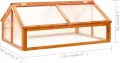 Holz-Gewächshaus mit Klappdeckel, braun, 114x80x50 cm, ideal für Pflanzenschutz und Frühbeet Pflanzhaus Model316415 - Thumbnail 7