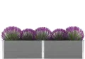Garten Hochbeet 250 x 50 x 54 cm WPC Grau - Thumbnail 4