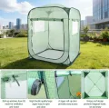  Pop-Up Gewächshaus 122x122x162cm, Treibhaus für Gemüse, Blumen & Pilze, PVC Überwinterungszelt für Pflanzen, Begehbarers Überwinterungszelt mit Reißverschlusstür, Einfach zu montieren, Grün - Thumbnail 5