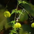Yardenfun 850 Stück Tomatenpflanzen Haken aus Robustem Kunststoff 13cm lang Pflanzenstützhaken für Gurken Paprika Kletterpflanzen Weiß Gewächshaus Garten Zubehör - Thumbnail 5