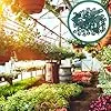 ARTIBETTER 100 Stück Gewächshaus Befestigungsclips mit Unterlegscheiben Grün Kompakte Pflanzennetz Klammern für Gewächshausrahmen Langlebiges Zubehör für Pflanzenaufhängung und Gartennetz – Bild 2