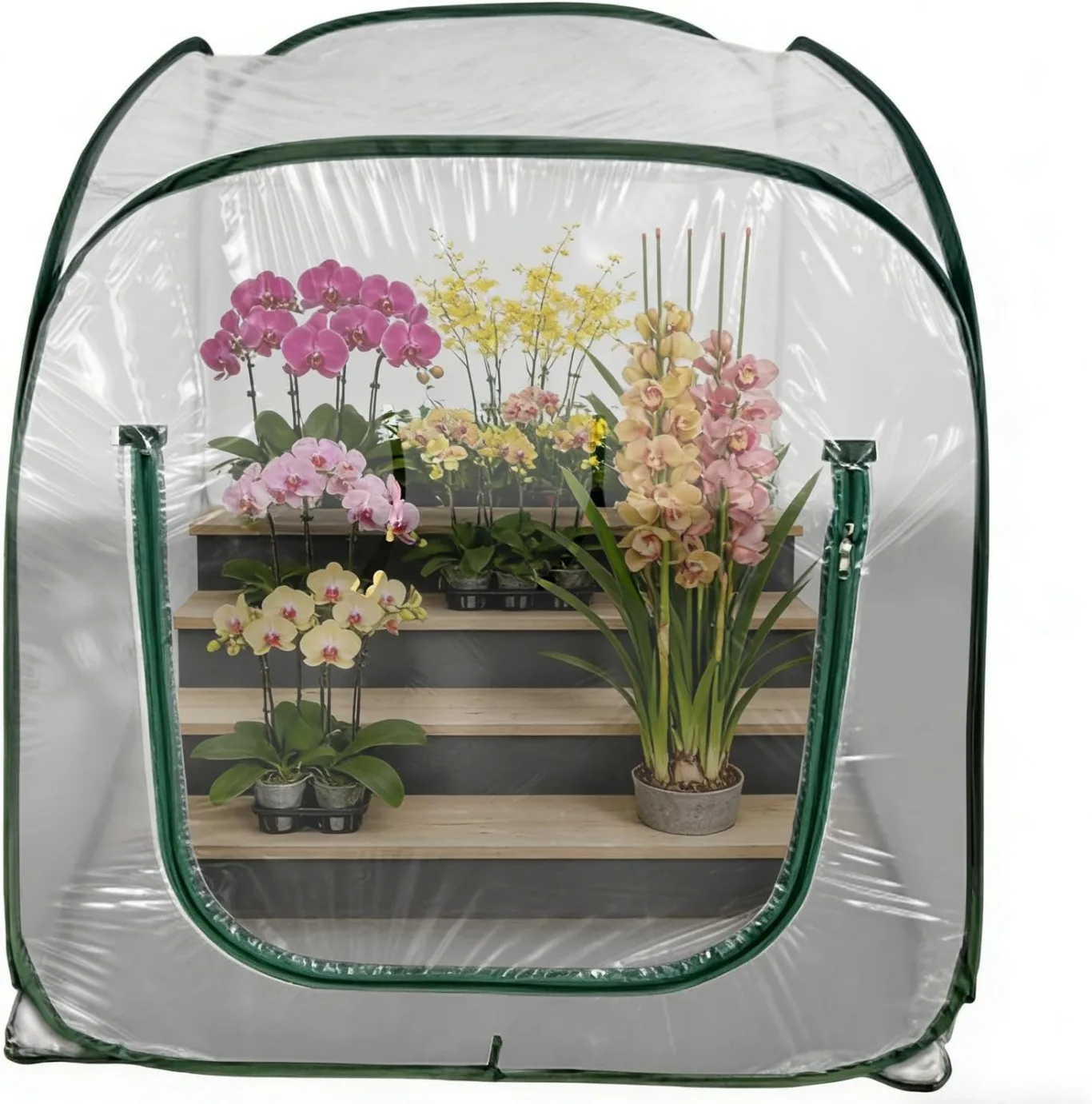 Gewächshaus für den Außenbereich – Durchsichtiges Pflanzenzelt, kleines Außengewächshaus mit einfacher Einrichtung, Garten-Blumentopf-Hinterhof-Zubehör, Kälte-Frost-Frostschutz, Terrassen-Balkon-Pflan - Bild 1
