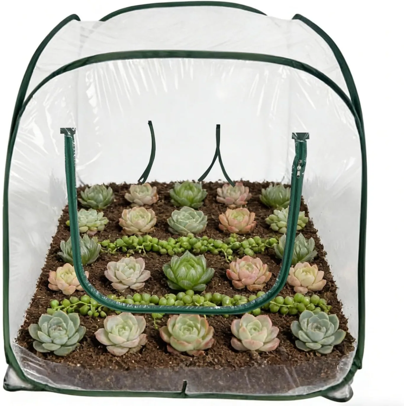 Garten Gewächshaus | Klappbares Tomatenhaus Mit Klarer PVC Abdeckung,Gewächshaus für den Außenbereich | Für Gartenarbeit ntopf Hinterhof Kälte Frost Gefrieren Terrasse - Bild 1