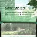 Outsunny Tunnel-Gewächshaus für den Garten, 3 x 3 x 2 m, mit aufrollbaren Türen und Fenstern, Gewächshaus für Gemüsegarten mit Struktur aus Stahl und PE-Abdeckung, für Gemüse, Blumen, Obst, UV-Schutz - Thumbnail 3