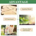 Pflanzenetiketten | 50 Stück aus Holz wasserdicht – mit Stift Etiketten für den Garten | für Gewächshaus im Innen- und Außenbereich Saatgut Anzucht von Topfpflanzen Bäume - Thumbnail 6