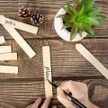 Pflanzenetiketten | 50 Stück aus Holz wasserdicht – mit Stift Etiketten für den Garten | für Gewächshaus im Innen- und Außenbereich Saatgut Anzucht von Topfpflanzen Bäume - Thumbnail 8