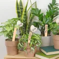 Pflanzenetiketten | 50 Stück aus Holz wasserdicht – mit Stift Etiketten für den Garten | für Gewächshaus im Innen- und Außenbereich Saatgut Anzucht von Topfpflanzen Bäume - Thumbnail 2