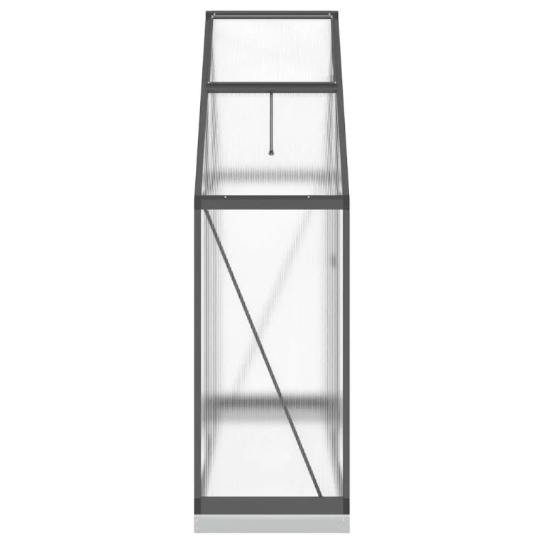 HUAKEHOM Gewächshaus mit Fundamentrahmen Pflanzenhaus mit Dachrinnensystem Flügeltür Treibhaus für Pflanzen Frühbeet Anthrazit 169x58x202 cm Alu – Bild 4